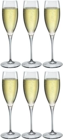 Bormioli Rocco Champagneglazen Premium - 260 Ml - 6 Stuks
