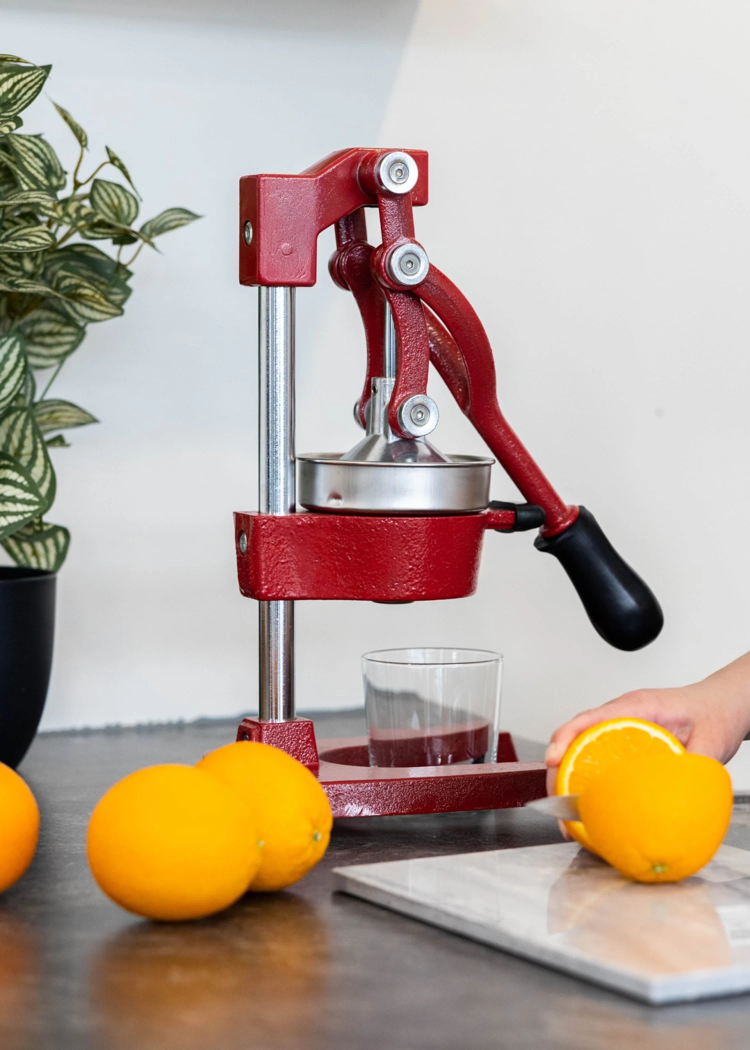 Sareva Citruspers - Gietijzer - Hevelmodel - Rood - Afbeelding 2