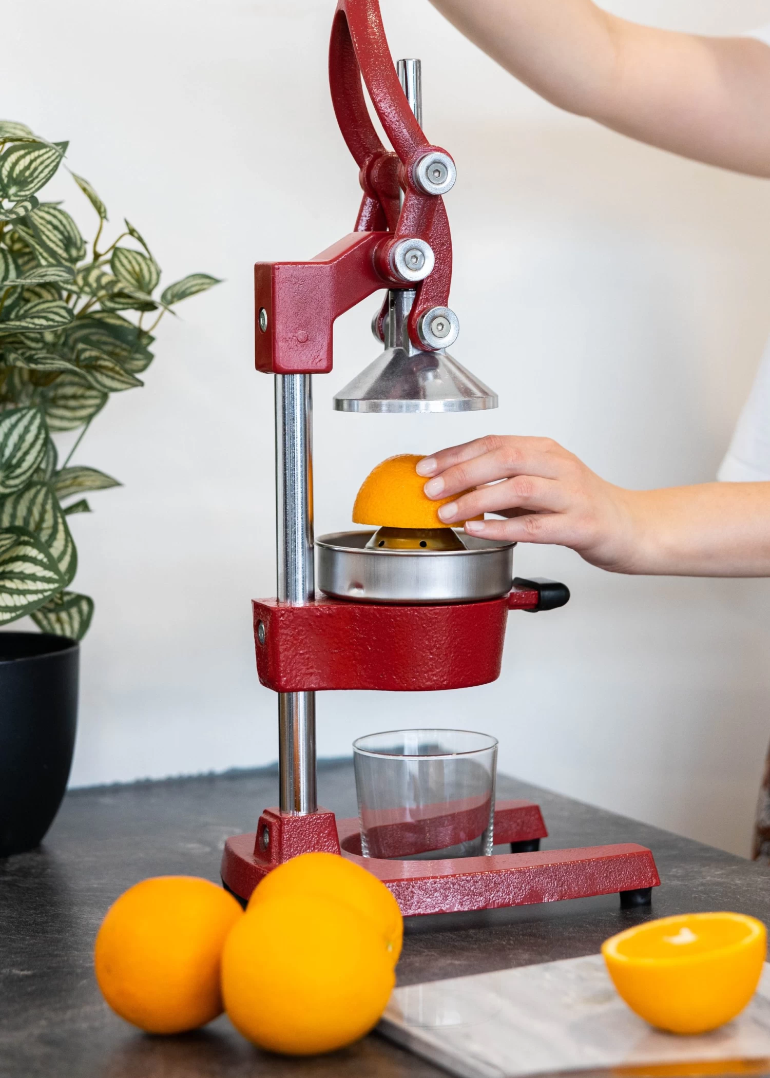 Sareva Citruspers - Gietijzer - Hevelmodel - Rood - Afbeelding 3