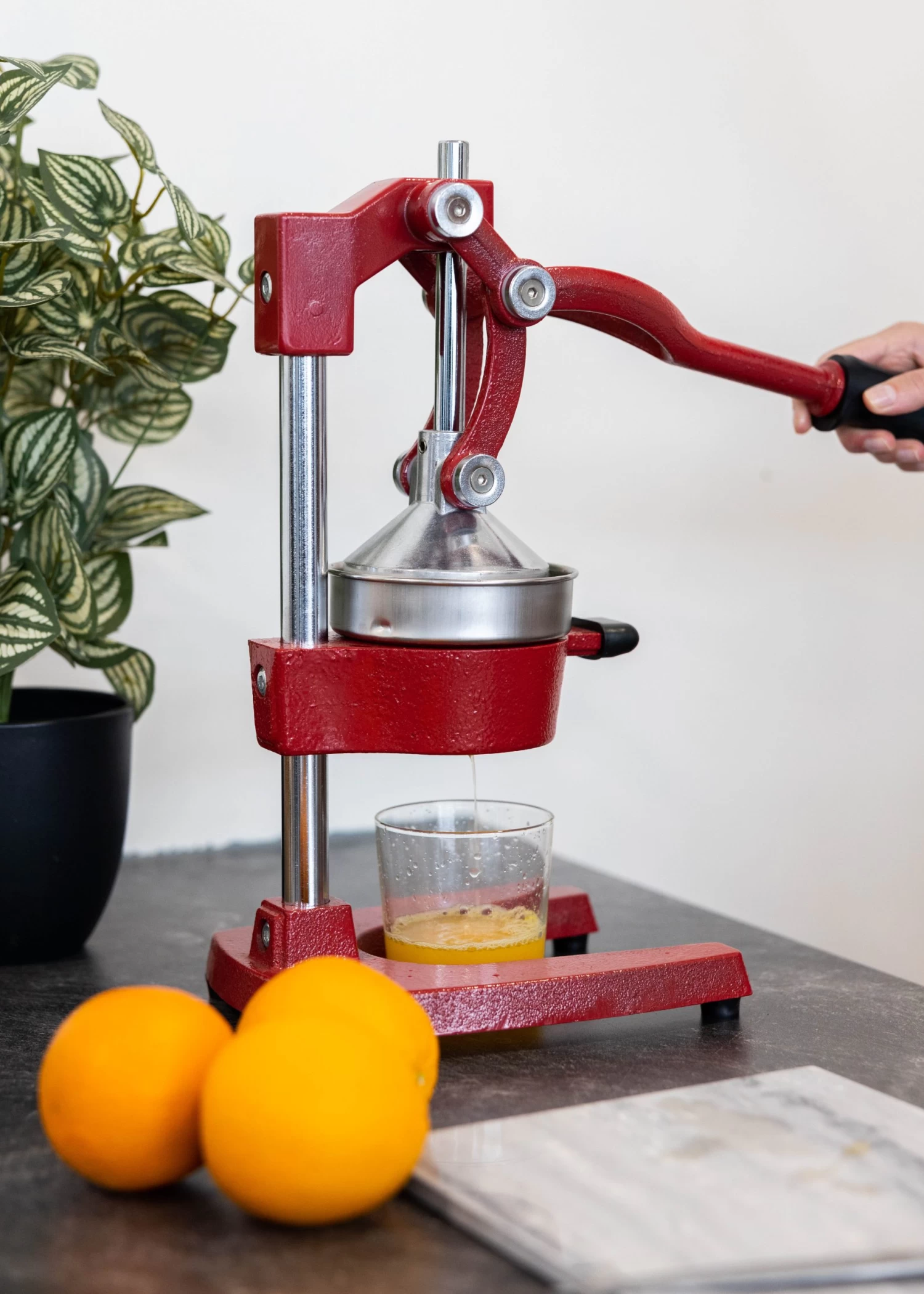 Sareva Citruspers - Gietijzer - Hevelmodel - Rood - Afbeelding 5